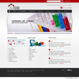 加拿大WebDesignerPS網(wǎng)頁設(shè)計(jì)作品集（四） 創(chuàng)新、簡約與用戶體驗(yàn)的完美融合