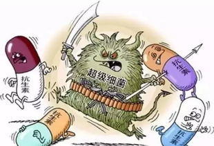 無抗養(yǎng)殖 衡量水產(chǎn)未來的天平，抗生素扮演關鍵砝碼